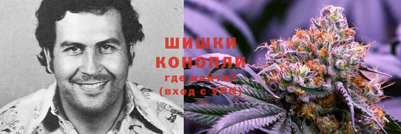 Канабис SATIVA & INDICA  купить  цена  Муром 